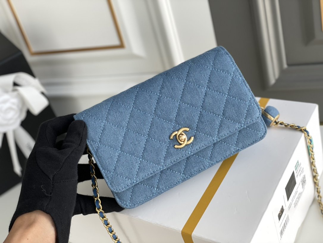 Chanel WOC Bags